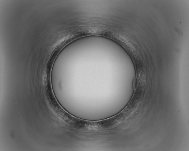 X0000112070587200908181222