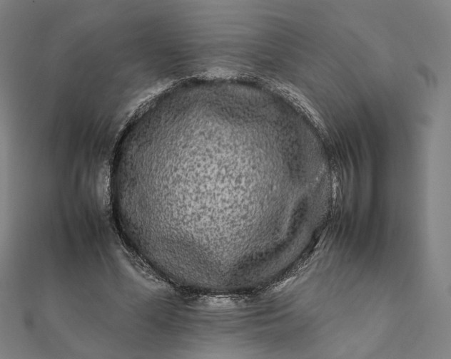 X0000112070588200908181222