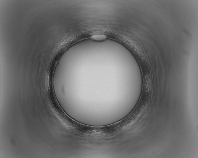 X0000112070589200908181222