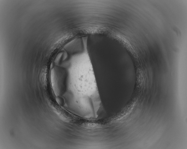 X0000112070590200908181222