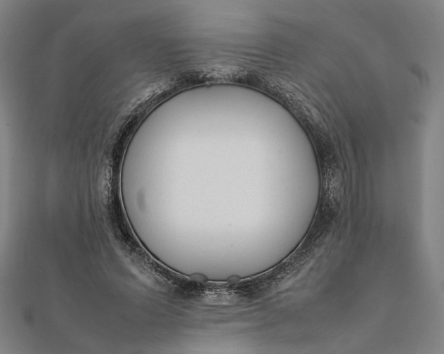X0000112070591200908181222