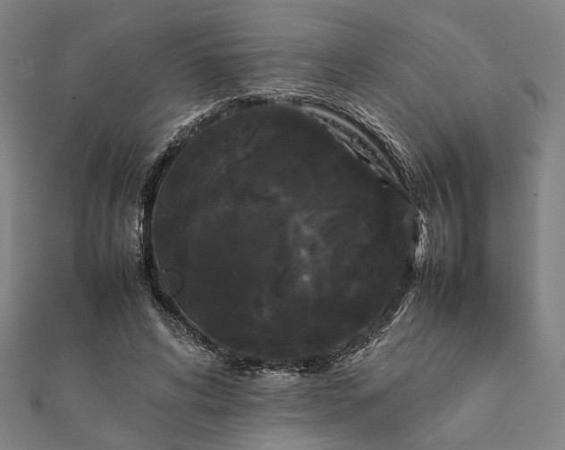 X0000112070592200908181222