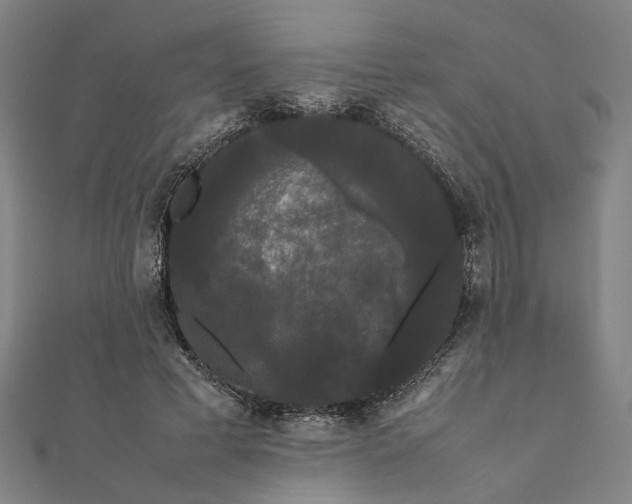 X0000112070593200908181222