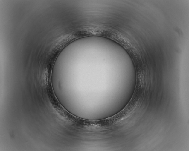 X0000112070594200908181222