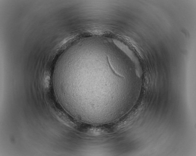X0000112070596200908181222
