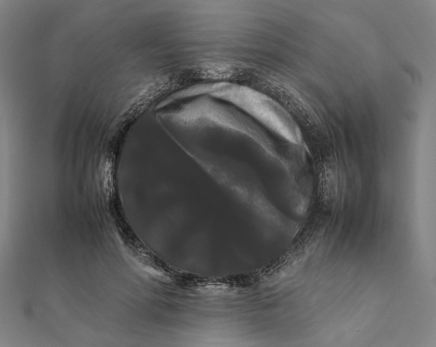 X0000112070598200908181222