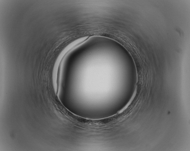 X0000112070599200908181222