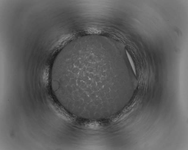 X0000112070600200908181222