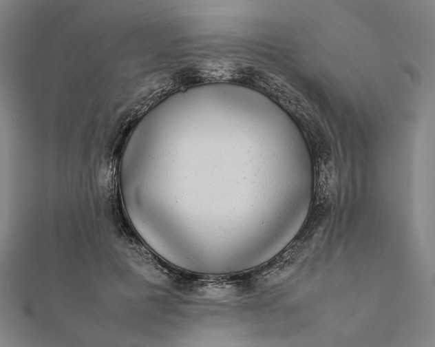 X0000112070601200908181222