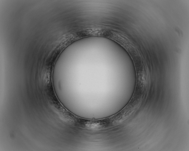 X0000112070602200908181222