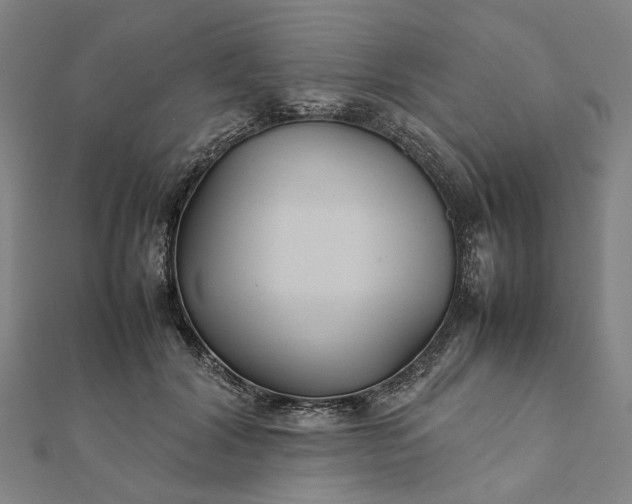 X0000112070604200908181222