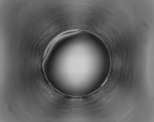 X0000112070606200908181222