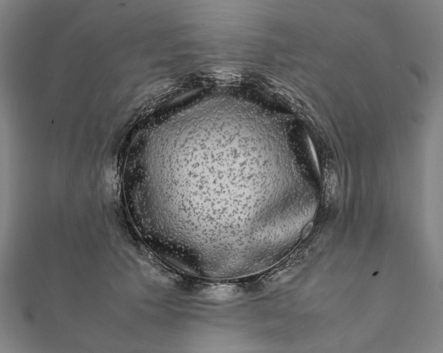 X0000112070609200908181221
