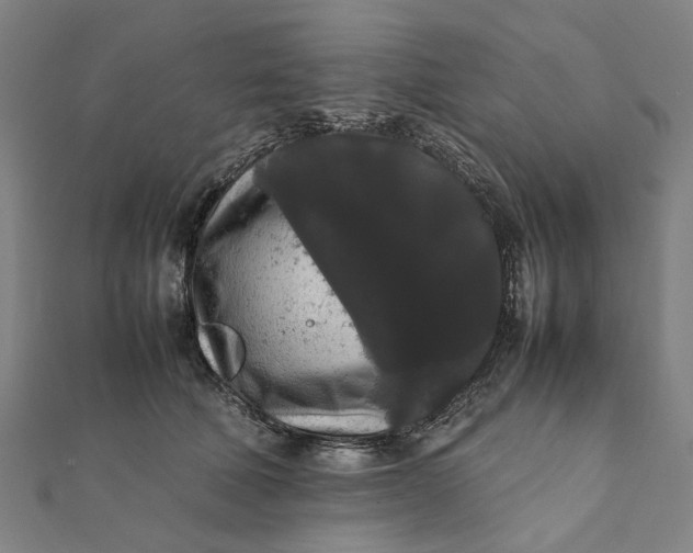 X0000112070610200908181221