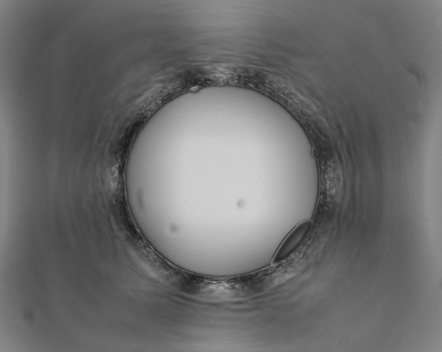 X0000112070611200908181221