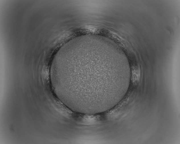 X0000112070613200908181221