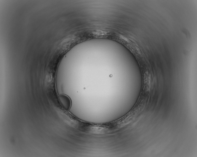 X0000112070614200908181221
