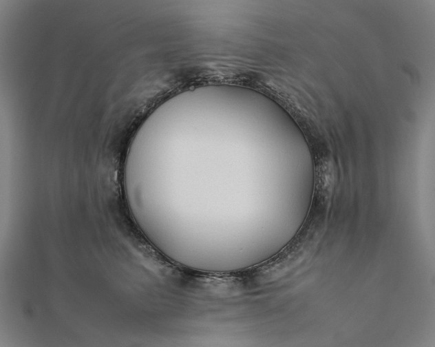 X0000112070615200908181221