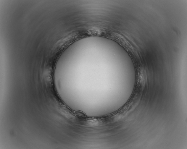 X0000112070616200908181221