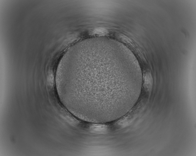 X0000112070617200908181221