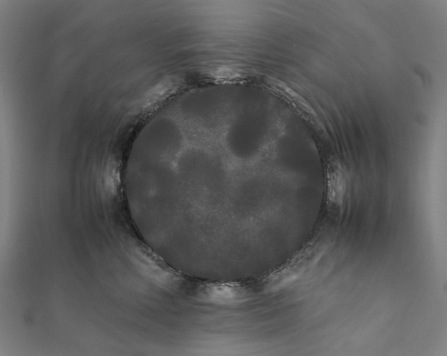 X0000112070618200908181221