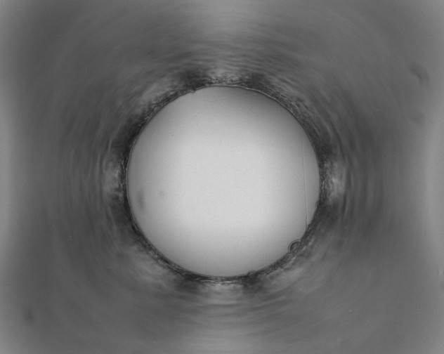 X0000112070619200908181221