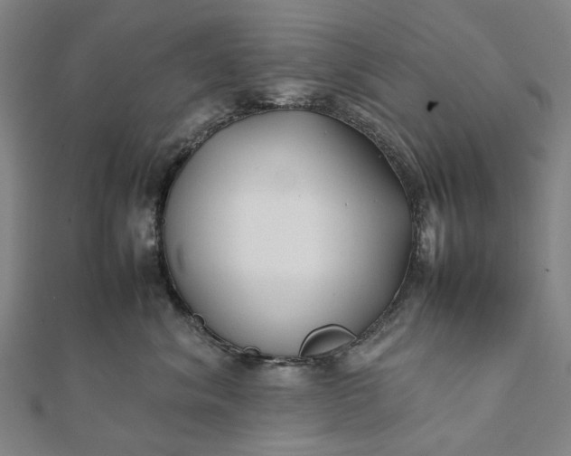 X0000112070620200908181221