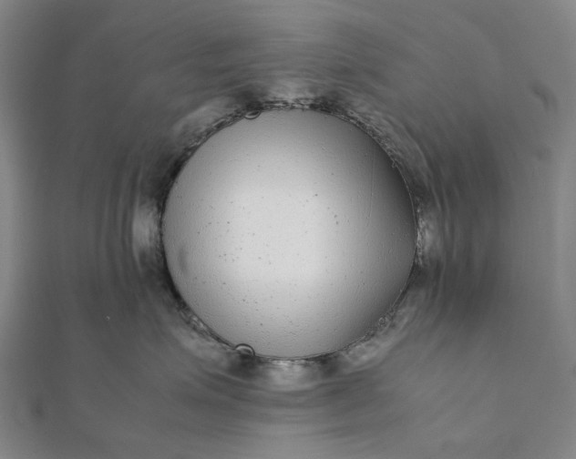 X0000112070623200908181221