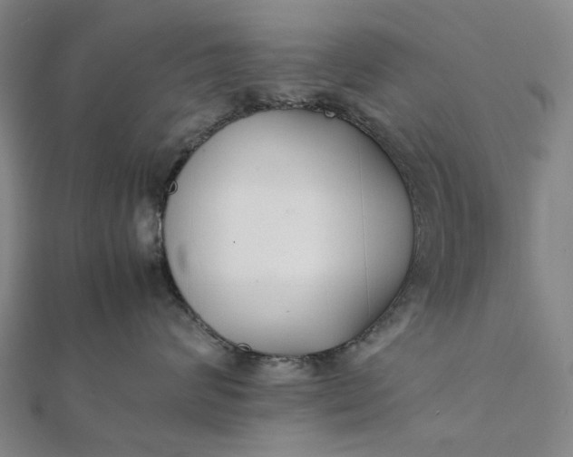 X0000112070624200908181221