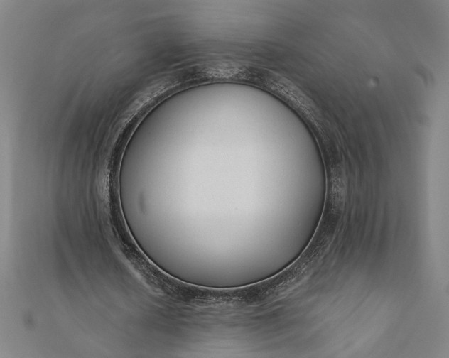 X0000112070626200908181220