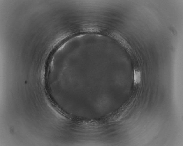 X0000112070627200908181221