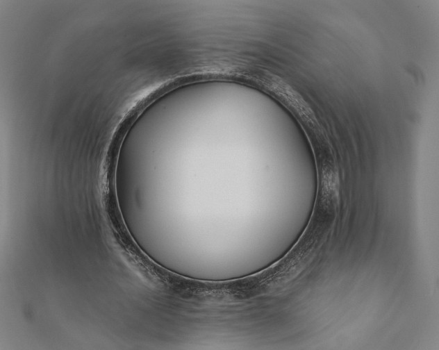 X0000112070628200908181221