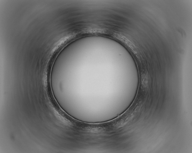 X0000112070629200908181221