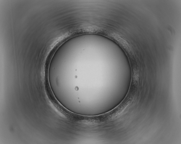 X0000112070630200908181221