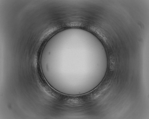 X0000112070631200908181221