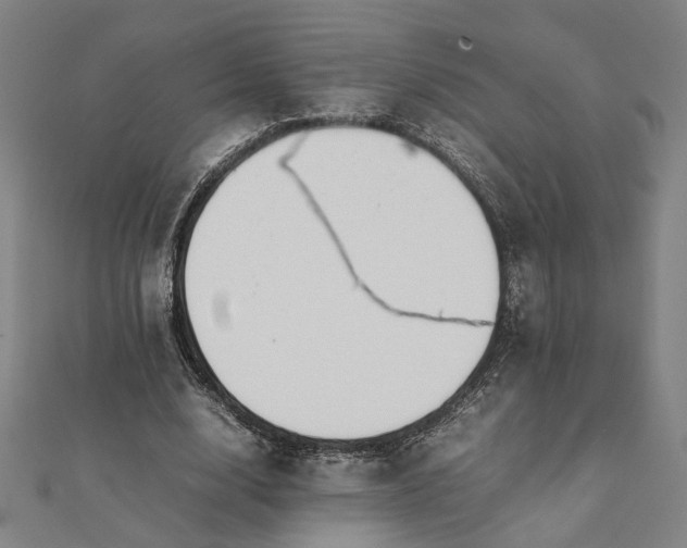 X0000112070632200908181221