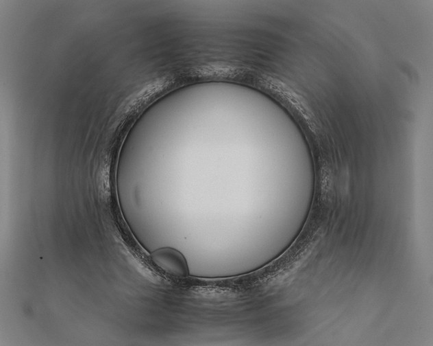 X0000112070633200908181221