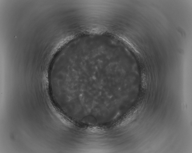 X0000112070634200908181221