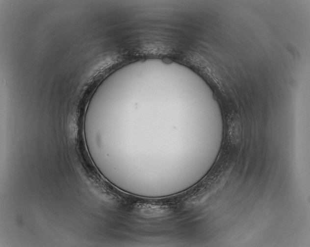 X0000112070635200908181221