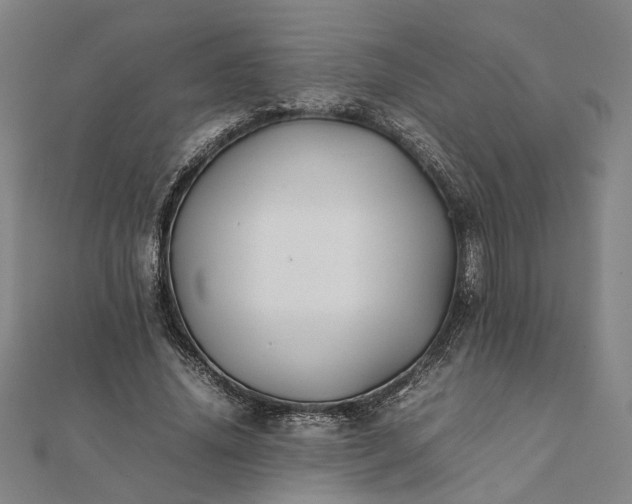 X0000112070636200908181221