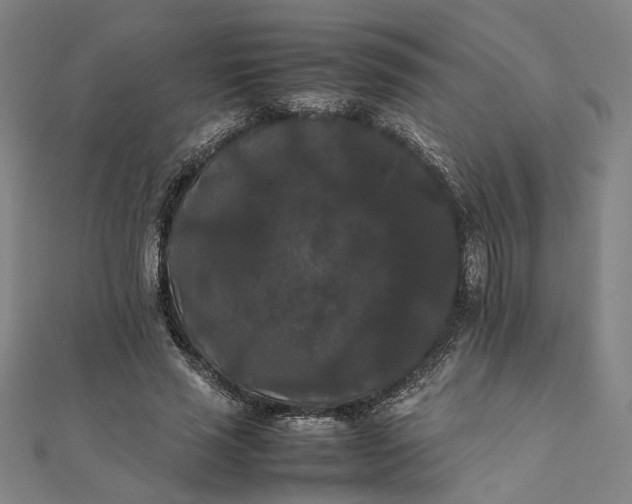X0000112070637200908181221