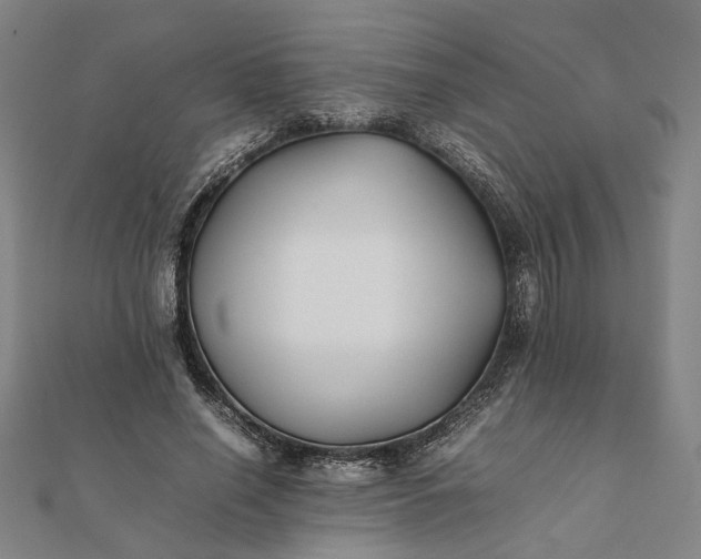 X0000112070638200908181221