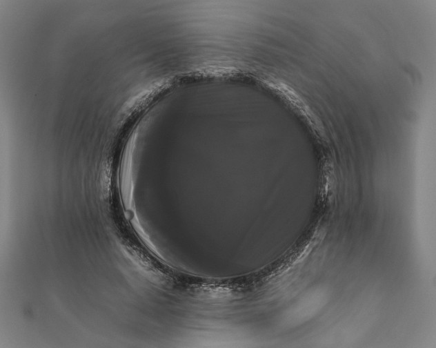 X0000112070640200908181221