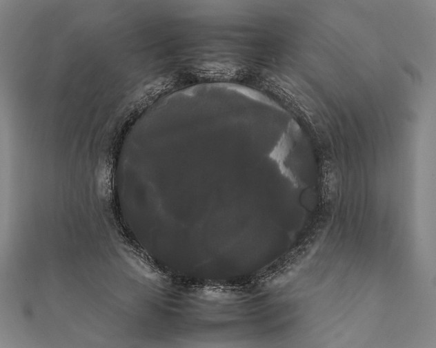 X0000112070641200908181221