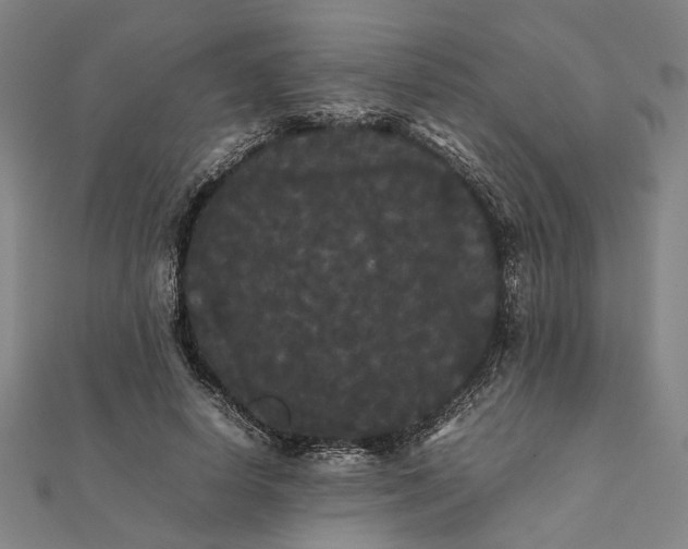 X0000112070642200908181221
