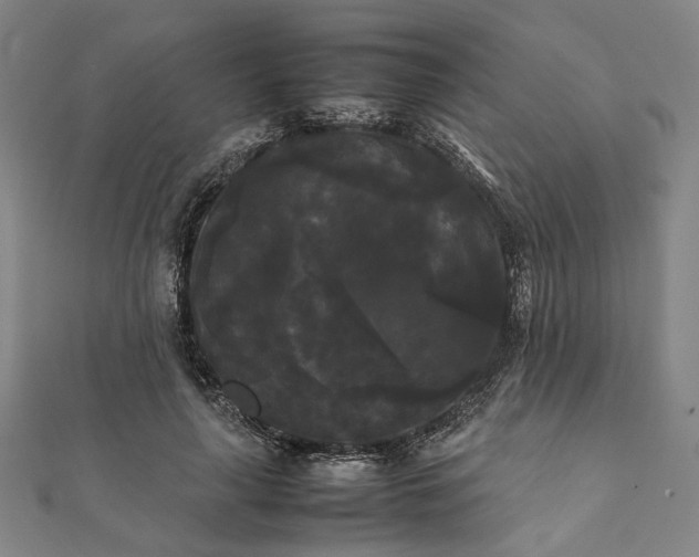 X0000112070643200908181221