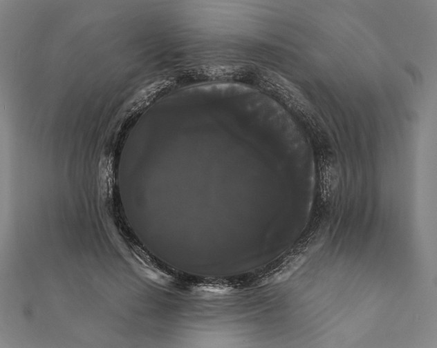 X0000112070644200908181221
