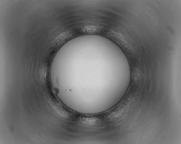 X0000112070645200908181221