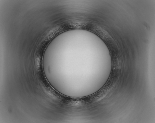 X0000112070646200908181221