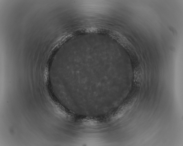 X0000112070648200908181221